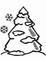 Coloring Tree Winter Pine Pages Trees Printable Clip Colouring Pinetree Clipart Cliparts Book Library Print Coloringpagebook Kids Advertisement Popular Easily sketch template