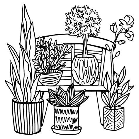 houseplants coloring page  printable coloring page  plants