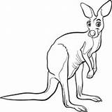 Kangaroo Cartoon Drawing Clipart Coloring Animals Pages Surfnetkids Funny Cute Getdrawings Clipground Standing Next sketch template