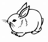 Rabbit Bunny Coloring Pages Cute Template Templates Rabbits Colouring Print Drawing Bunnies Shape Printable Color Easter Holding Adults Activities Traceable sketch template
