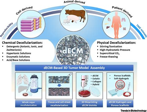 decellularized extracellular matrix for bioengineering physiomimetic 3d