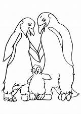 Happy Feet Coloring Pages Books Categories Similar Printable sketch template