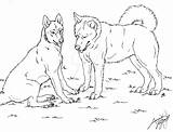 Huskies Siberian Simensis Canis Lineart sketch template
