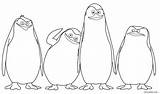 Coloring Penguin Madagascar Penguins Cool2bkids Printable Colouring Christmas Drawing Rocks Movie Sheets Disney Getdrawings Realistic Visit sketch template