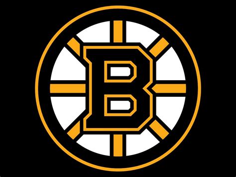 boston bruins logo logo brands   hd