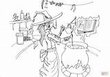 Coloring Witch Pages Cook Categories sketch template