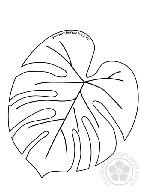 tropical leaf coloring page flowers templates