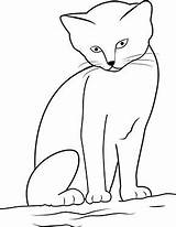 Katze Ausmalbild Sitzt Sitzende Mietzekatze Katzen Ausmalen Ausdrucken Dein Auszudrucken Klicke Coloring sketch template