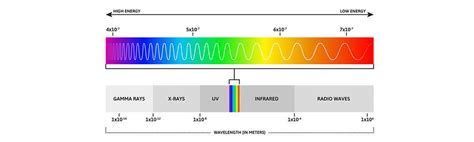 ultimate guide  spectrum science  led grow lights