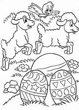 Ostern Pasen Pasqua Colorat Ausmalbilder Kleurplaat Kleurplaten Stampare Desene Coloriage Pasti Planse Malvorlage Animaatjes Animale P206 Pascuas Paaseieren Pecorelle Uova sketch template
