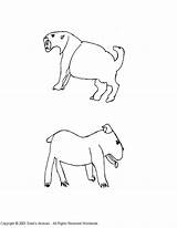 Smilodon Bulldog sketch template