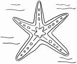 Starfish Coloring Drawing Line Getdrawings Designlooter Site Drawings 1005px 95kb 1200 Coloring2print sketch template