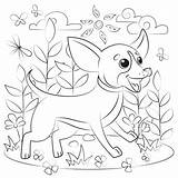 Chihuahua Sombrero Supercoloring sketch template