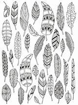 Coloring Feather Pages Lizzie Preston Visit Doodle Colouring sketch template