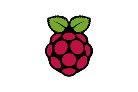 raspberry pi logo  svg vector  png file format logowine