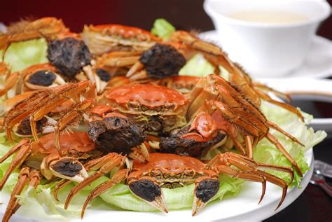 Hairy Crabs Season In Singapore 2023 – Rove Me