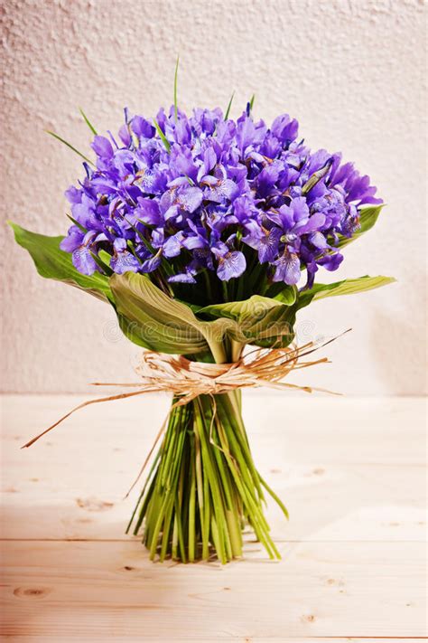 Compra huaesin 30pcs bouquet fiori secchi decorativi fiori secchi naturali mazzo. Bouquet of flowers iris stock photo. Image of beautiful - 23257694
