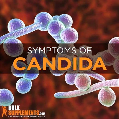 ﻿candida Symptoms Causes And Treatment