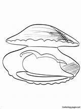 Clam Coloring Pages Pearl Shell Drawing Getdrawings Getcolorings Color sketch template