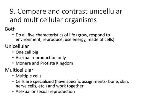 ppt ask biology review powerpoint presentation free download id