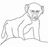Coloring Baby Baboon Pages Drawing Printable Color Baboons Drawings Categories Supercoloring 55kb 1200 sketch template