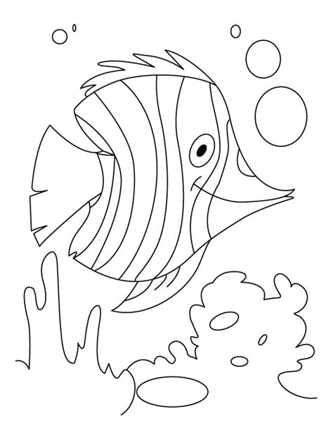 fish flutter  water coloring pages   fish flutter