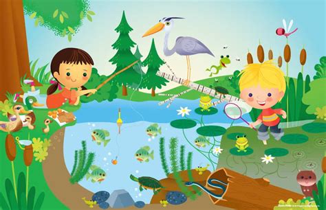whats   box pond life  experience early learning
