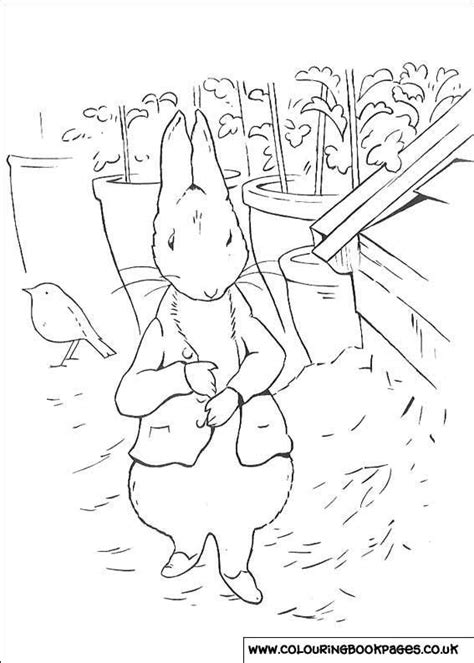 peter rabbit colouring pages  kids colour  books peter rabbit