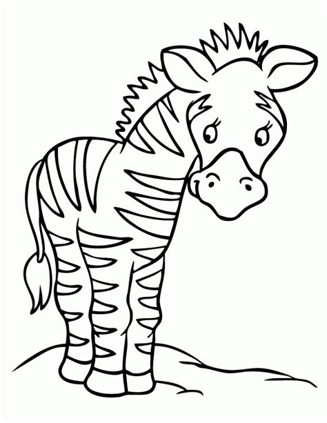 zebra pictures  print coloring home