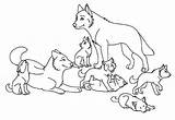 Wolf Coloring Pages Pack Wolves Baby Pup Drawing Printable Wolfs Template Drawings Colouring Animal Print Color Kids Templates Babies Magical sketch template