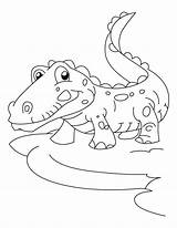 Coloring Alligator Pages Crocodile Joyful Printable Colour Color Library Clipart Print Popular Aa Coloringhome Books sketch template