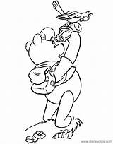 Pooh Coloring Pages Winnie Disneyclips Misc Activities Watching Bird sketch template
