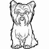 Coloring Pages Yorkie Dog Terrier Yorkshire Printable Silky Puppy Dogs Fun Choose Board sketch template