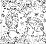 Coloring Adult Christmas Pages Winter Book Printable Designs Magic Books Girls Birds Year Color Old Print Complex Years Info Girl sketch template