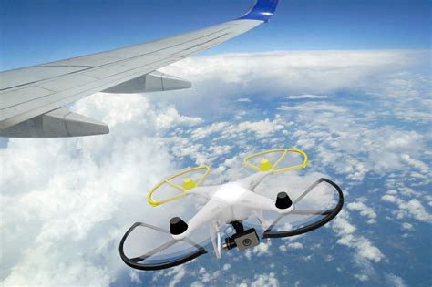 drones   damaging  planes  bird strikes
