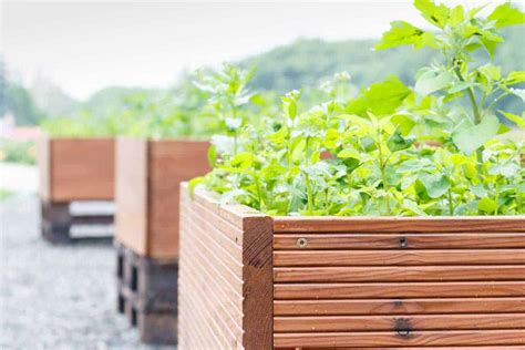 build  planter box  vegetables gardentabscom