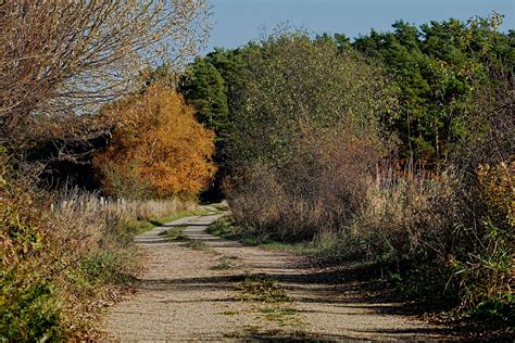 wanderwege foto bild natur herbst landschaft bilder auf fotocommunity