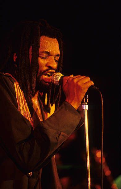 lucky dube   premium high res pictures getty images funny animal  funny