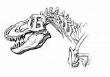 Rex Skeleton Dinosaur Drawing Getdrawings Tyrannosaurus sketch template