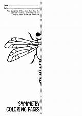 Symmetry Coloring Pages Insects Kids Bug Insect Worksheets Worksheeto Activity Via Parts Body sketch template
