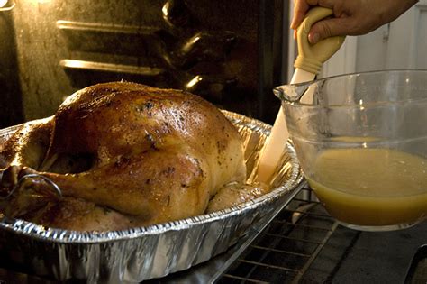 pornhub reveals thankgiving themed porn search trends