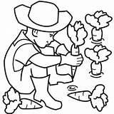 Farmer Coloring Pages Kids Book Farm Clipart Farmers Cartoon Colouring Cliparts Carrot Learning Fun House Plant Children Illustrations Popular Insurance sketch template