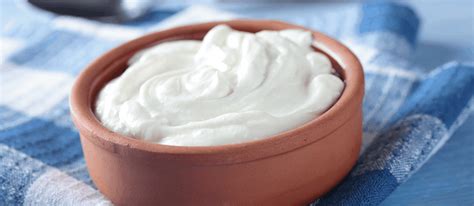 greeking   greek yogurt drink milkcom