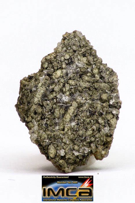 martian nwa  shergottite meteorite thin section catawiki