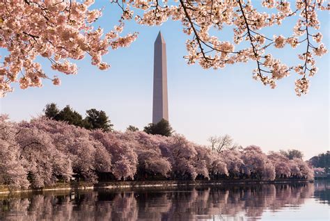 Key Events National Cherry Blossom Festival 2017 Wtop