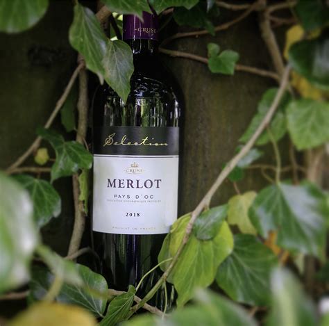 merlot selection godfathers  wine