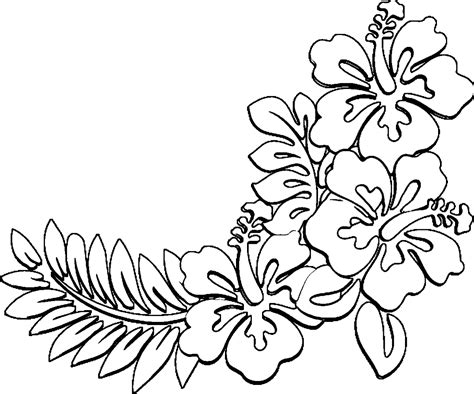 printable hibiscus flower coloring pages paintcolor ideas fits  bill