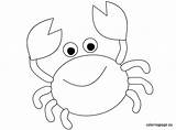 Crab Coloring Pages Cartoon Easy Maryland Color Animal Printable Fish Cute Colouring Drawing Coloringpage Eu Kids Crabs Print Summer Felt sketch template