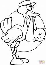 Stork Cicogna Storch Ooievaar Cegonha Kleurplaten Supercoloring Buone Störche Ausmalen Ispirazione Bright Onesie Cigüeña Geburt Bocian sketch template