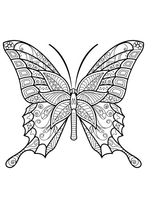 butterflies coloring pages butterflies kids coloring pages